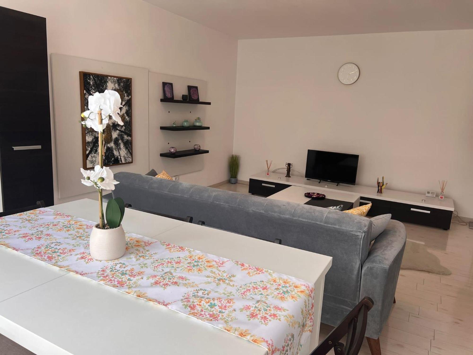 Cluj Aparthotel - Septimiu Albini - Ngoại thất bức ảnh